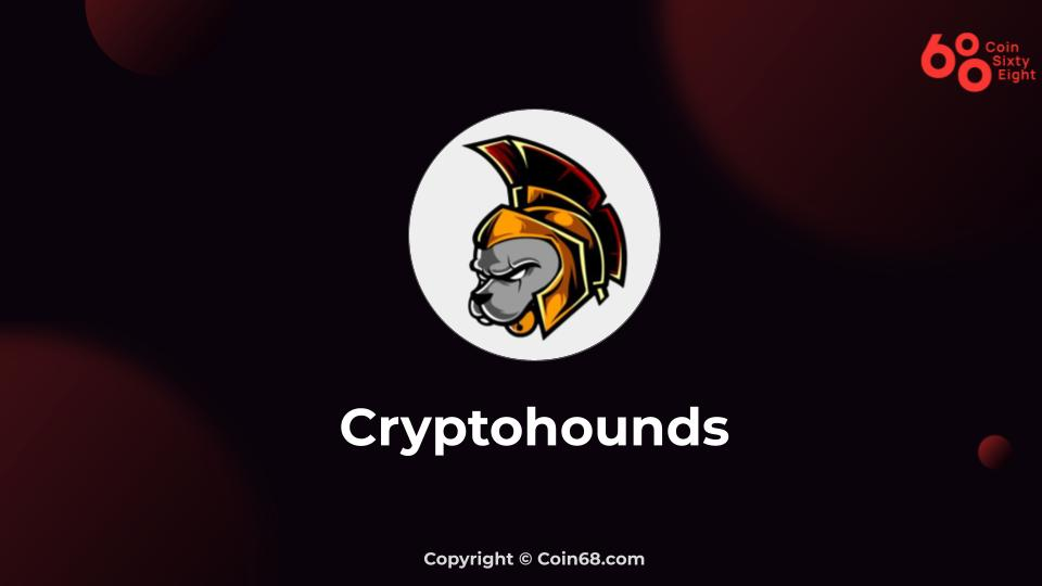 Game Crypto Hounds (CTH) là gì? Review và hướng dẫn chơi game Crypto Hounds