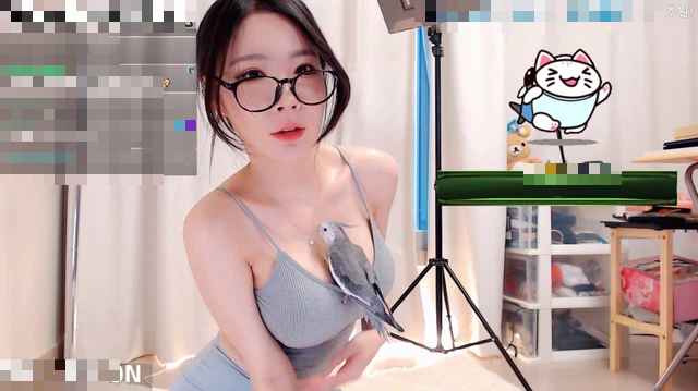 Bôi dầu bóng và đặt thú cưng lên vòng 1, nữ streamer khiến nhiều fan ước được đổi chỗ với chú chim may mắn kia