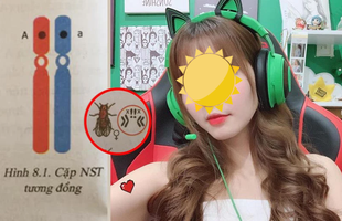 Nữ game thủ 15 tuổi bất ngờ thừa nhận “ảo chữ”, nhìn ký hiệu Sinh học ra tên một streamer