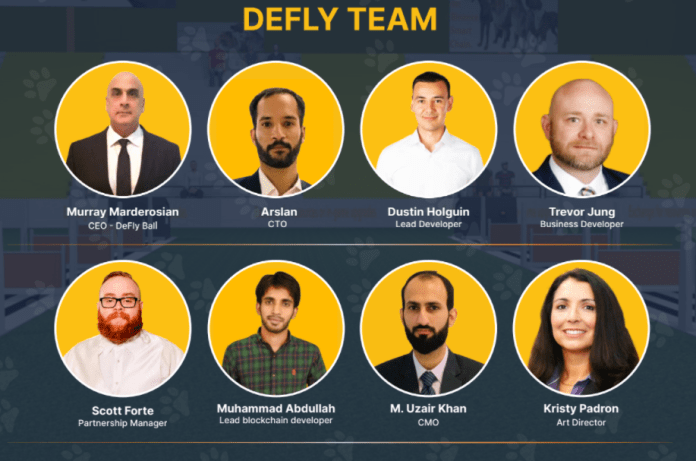 DeFly Ball Raises over $ 1.6 million for Flyball Metaverse Dog Racing Game on BSC