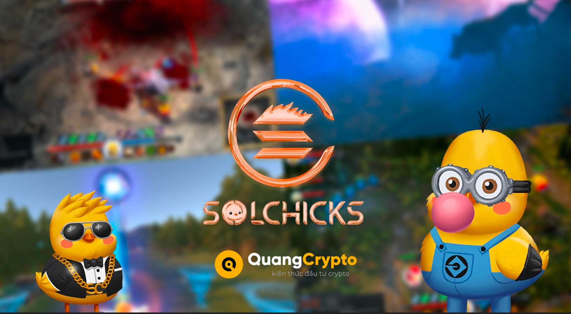 SolChicks là gì? Chi tiết về SolChicks & Chicks Token