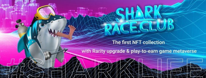 Game SharkRace Club là gì? Chi tiết về tiền điện tử SHRK