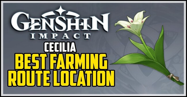 Genshin Impact: Mẹo tìm kiếm vị trí và cách sử dụng hoa Cecilia