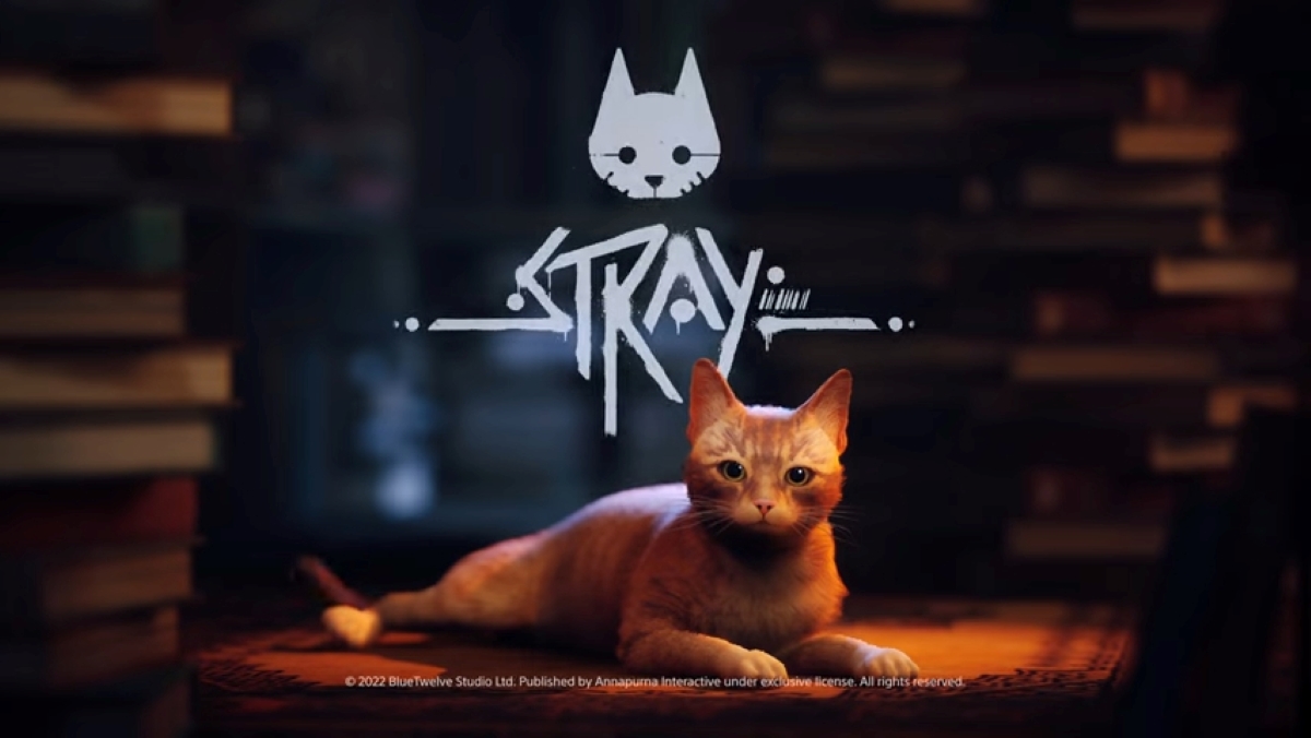 Phá vỡ kỷ lục của Annapurna Interactive, Stray trở thành game có lượng người chơi cao nhất trên Steam