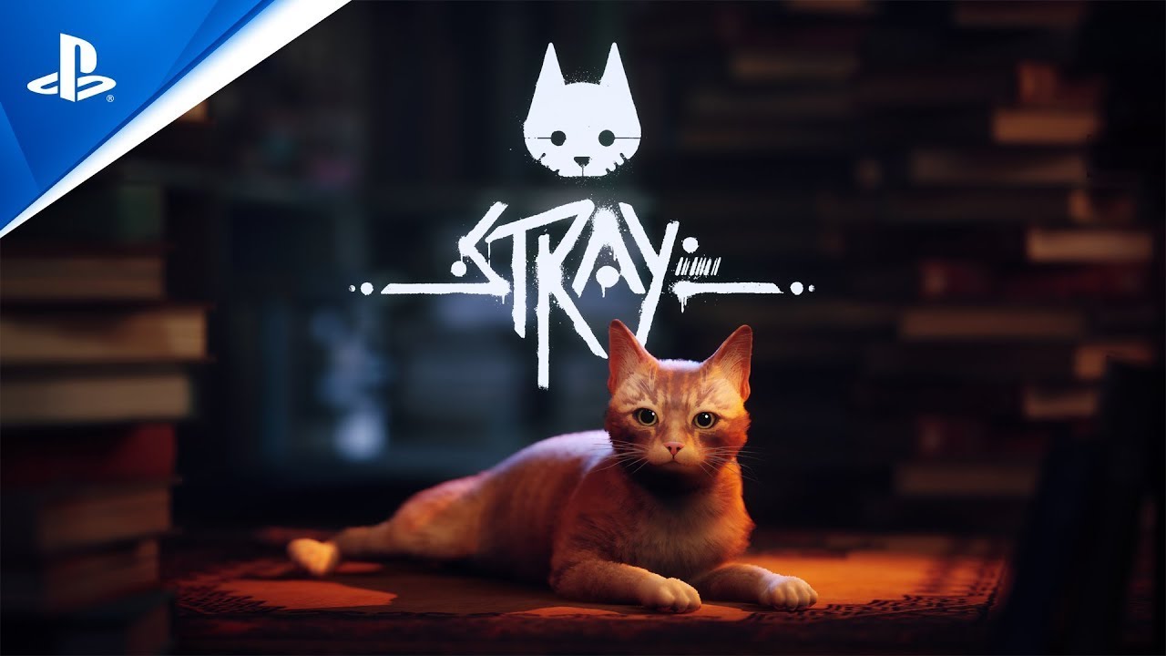 Stray đang giữ ngôi đầu bảng về xếp hạng người dùng trên Steam